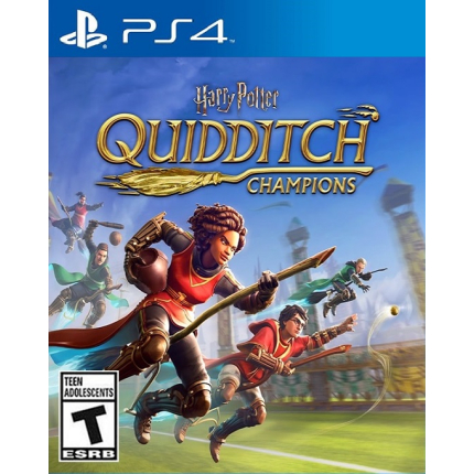 Harry Potter Quidditch Champions (PS4)