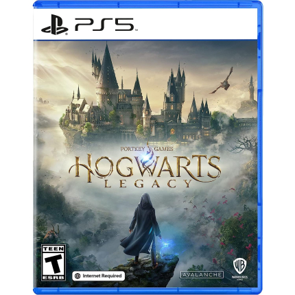 Hogwarts Legacy (PS5, русские субтитры) Б/У